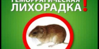 Геморрагическая лихорадка с почечным синдромом - Мишкинский район
